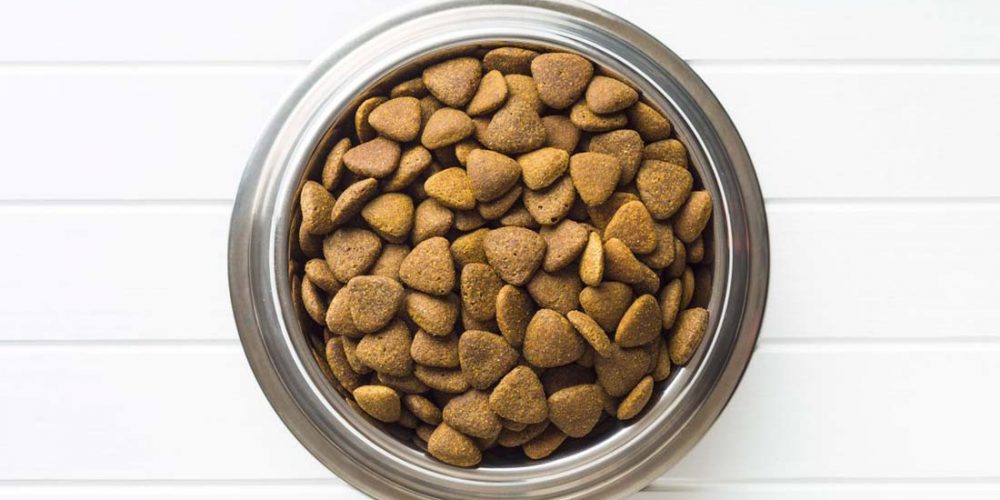 bowl of kibble fillers in dog food