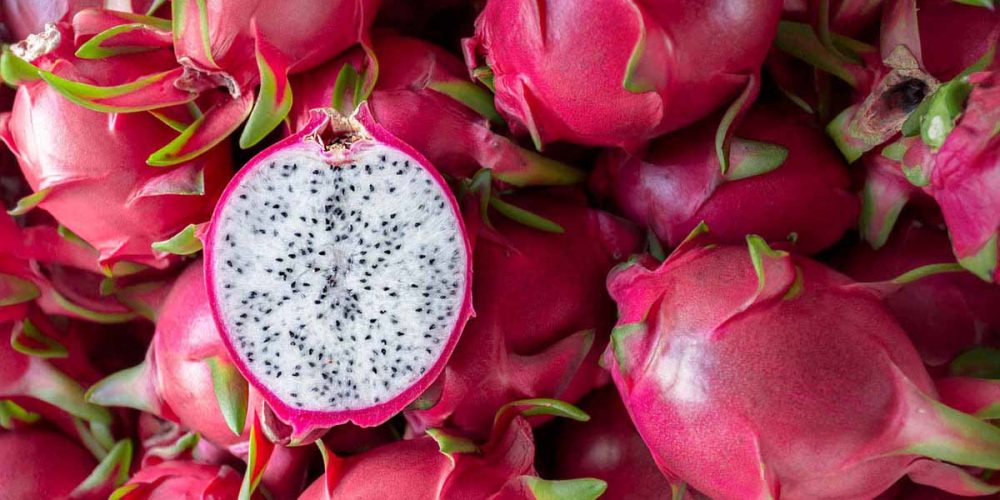 can dogs eat dragon fruit