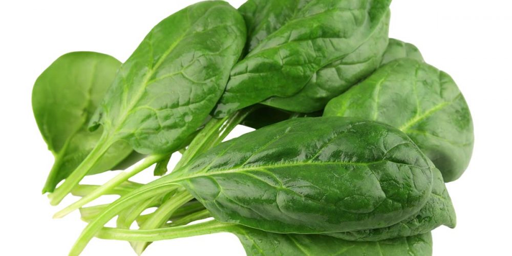 can dogs eat fresh spinach