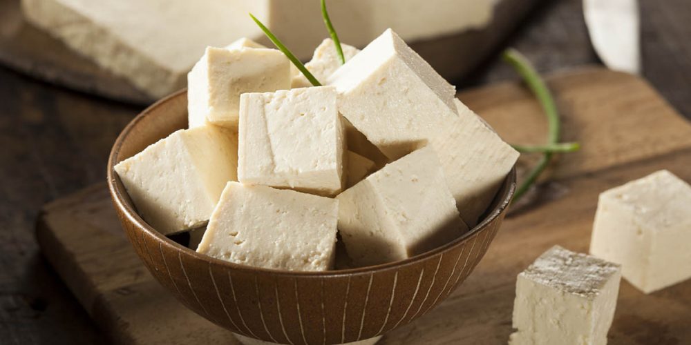 can dogs eat tofu