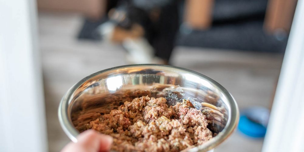 carrageenan in dog food