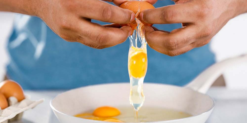 cracked raw egg over dog food