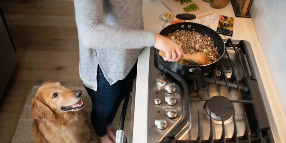 diy turkey dog food cooking