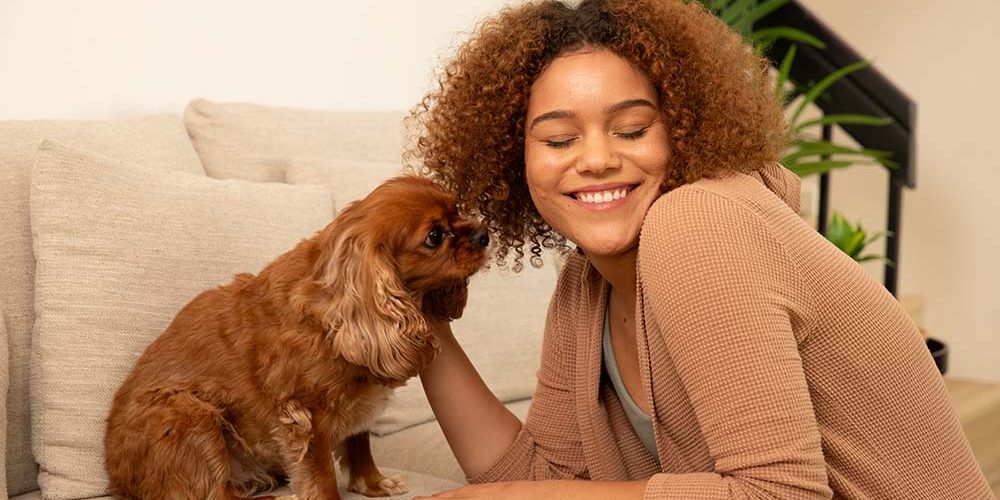 little brown dog giving his human a kiss