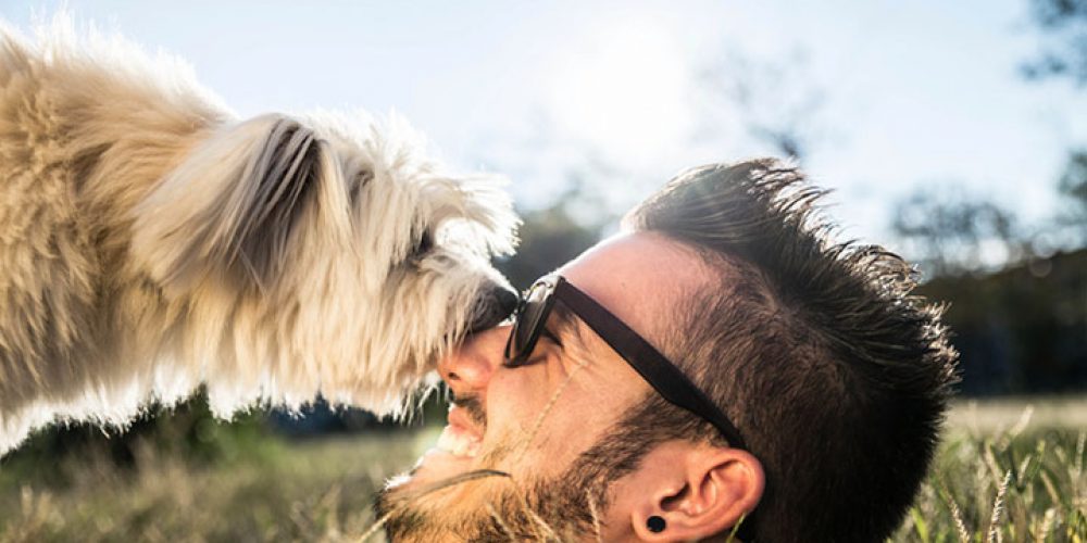 dog kissing his human