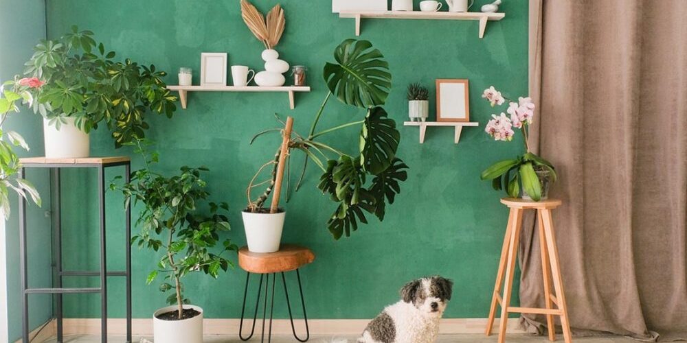 dog surrounded by plants