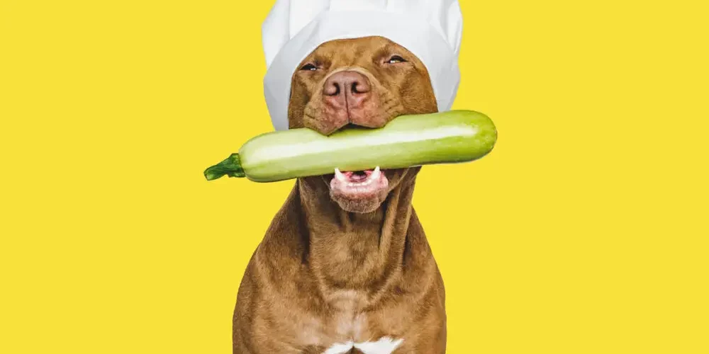 do with summer squash in mouth