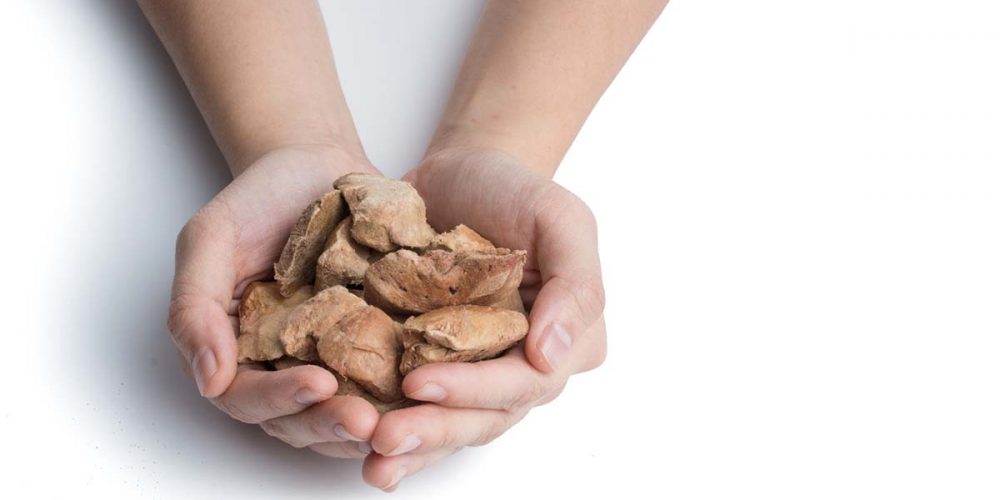 is freeze dried dog food good for dogs