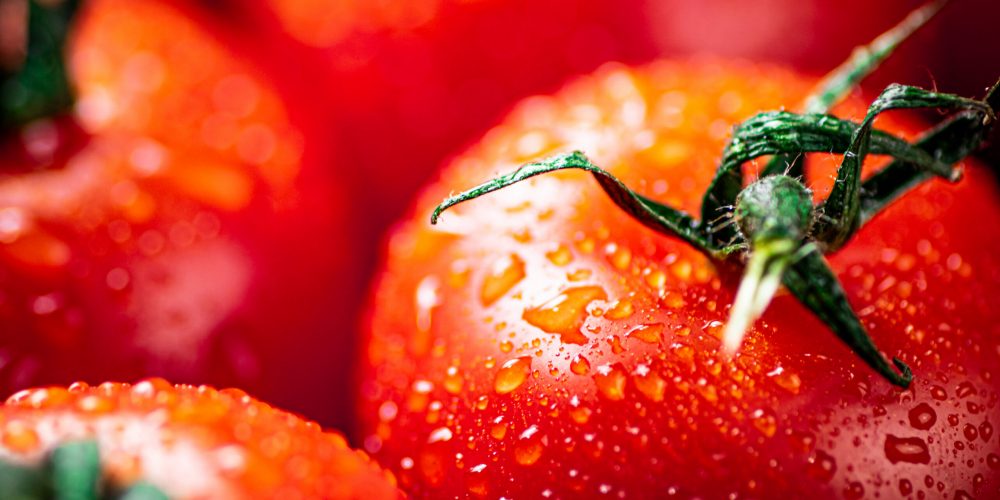 Ripe tomatoes with drops of water