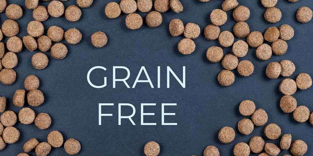 grain free dog food heart disease