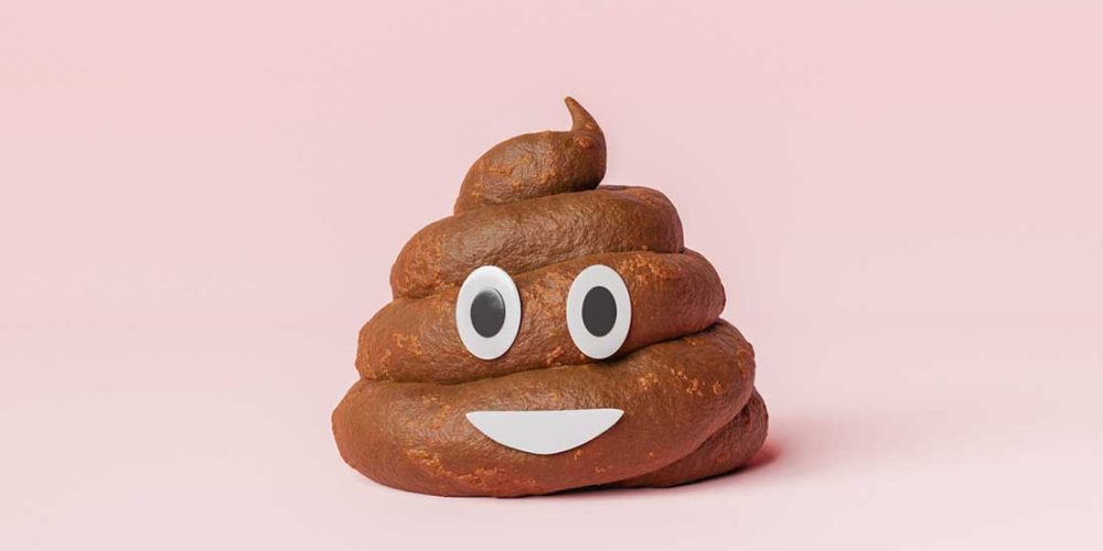 how to firm up dog poop. best dog food for poop eaters