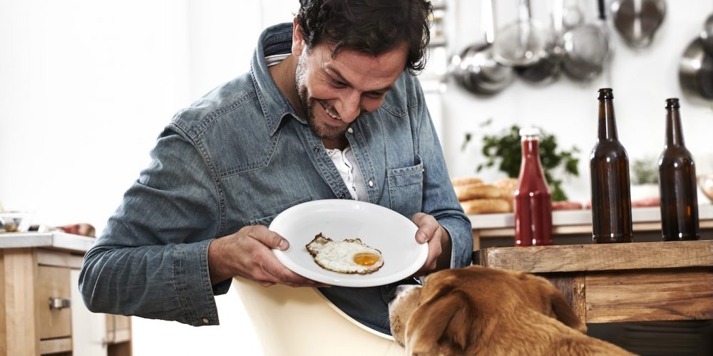 Can dogs eat eggs?
