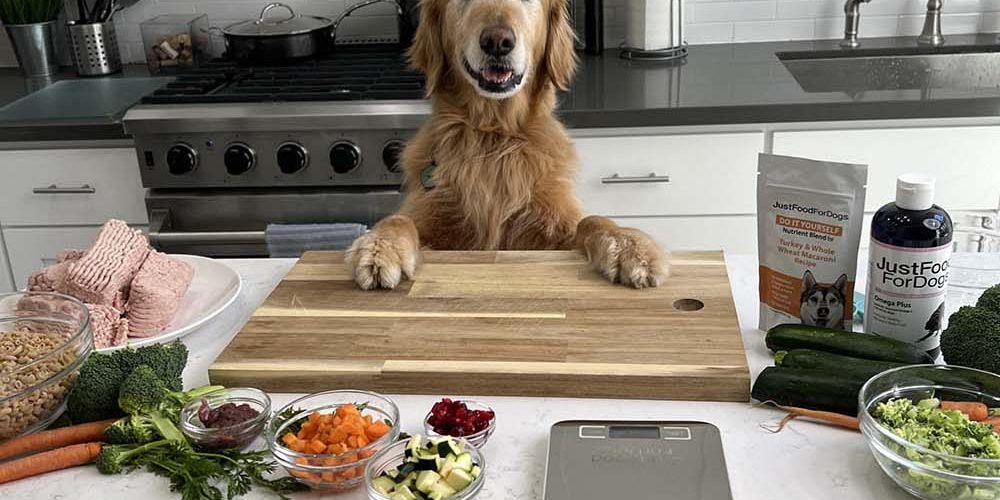 dog meal prep hacks