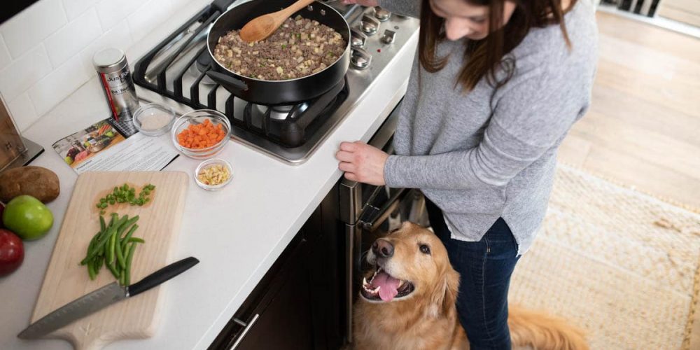 how do you make homemade dog food