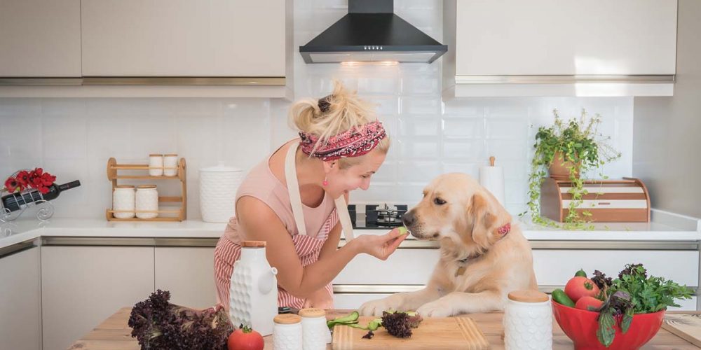 nutritionally complete homemade dog food recipes