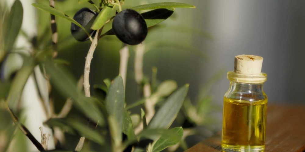 olive leaf extract