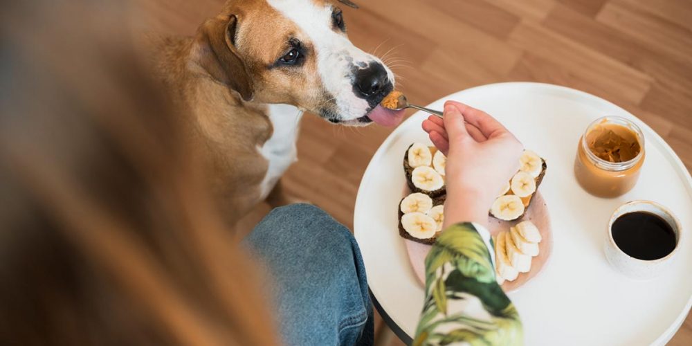 is peanut butter good for dogs