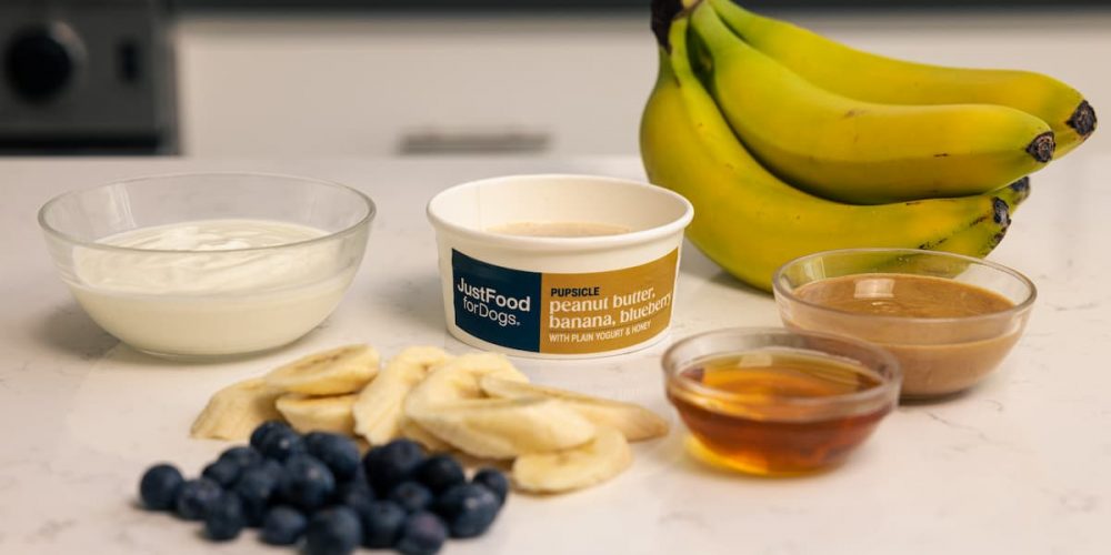 pupsicle recipe ingredients