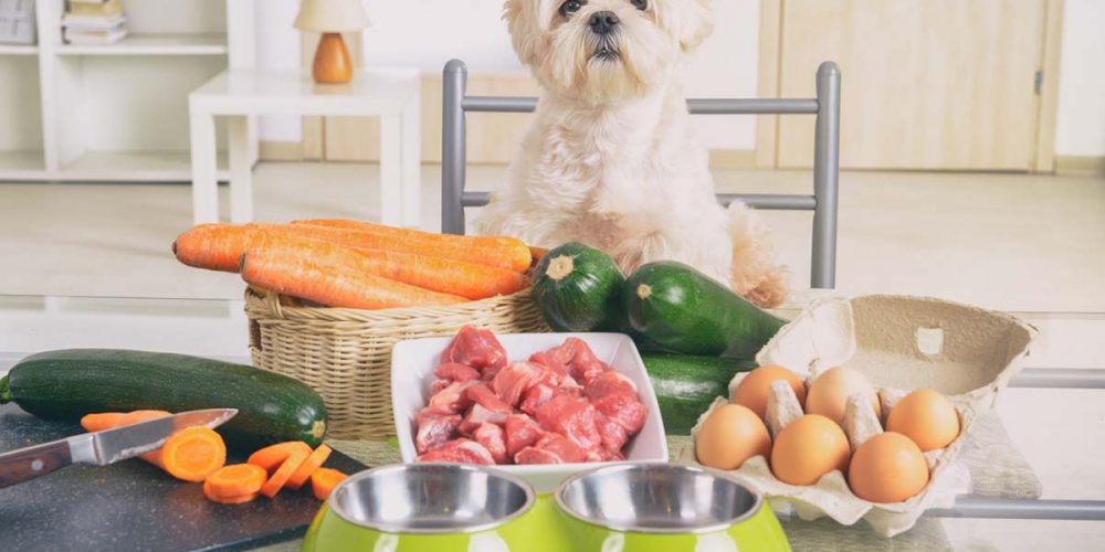 raw dog food