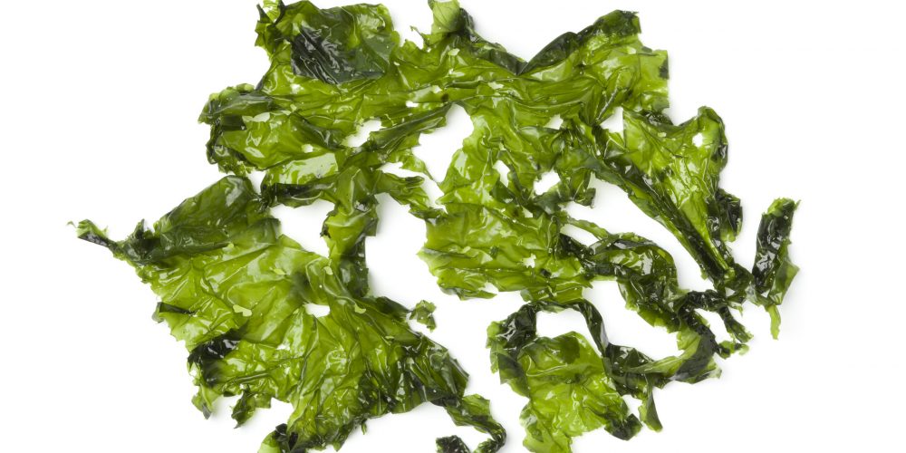 Salted sea lettuce on white background