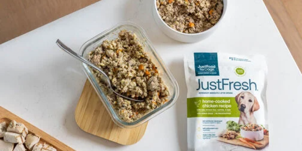 dog food on kitchen counter