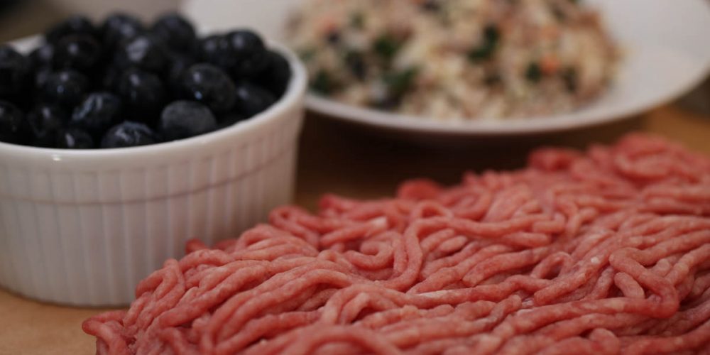 single protein dog food