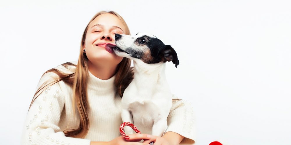 Signs your dog loves you