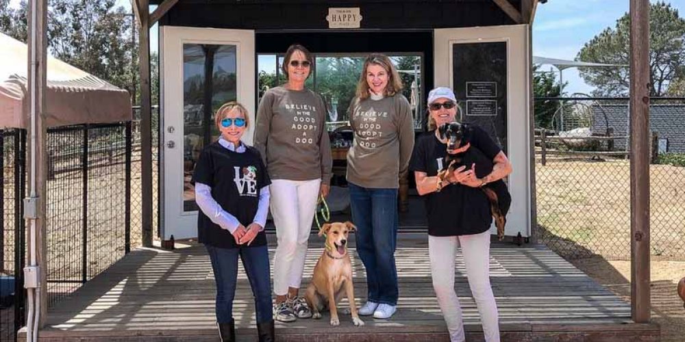 thrive animal rescue