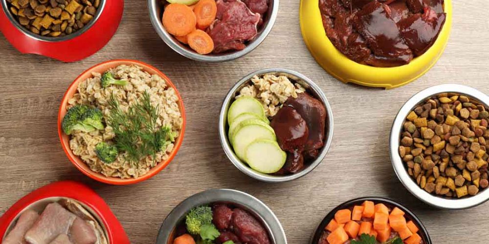 types of dog food