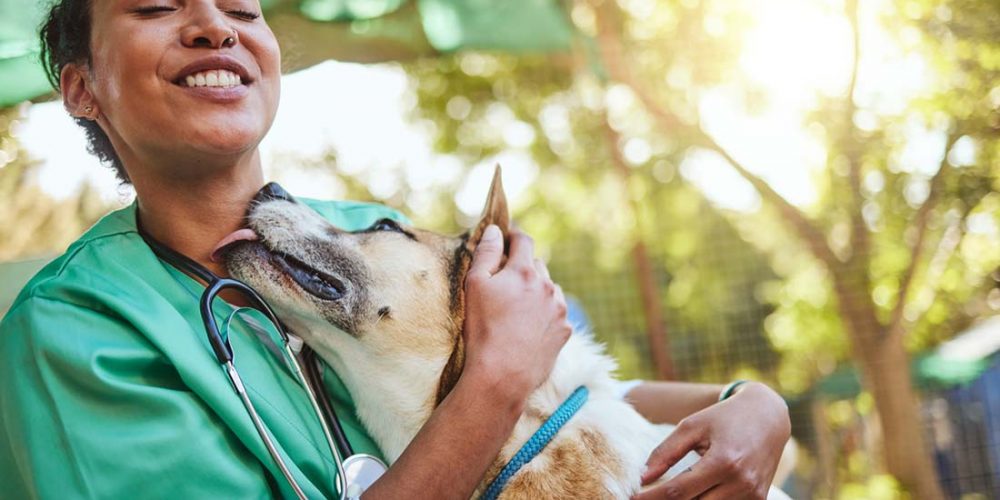 veterinary mental health